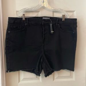 NWT Torrid shorts